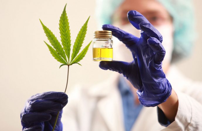 Cannabis-una-oportunidad-mas-para-la-economia-regional