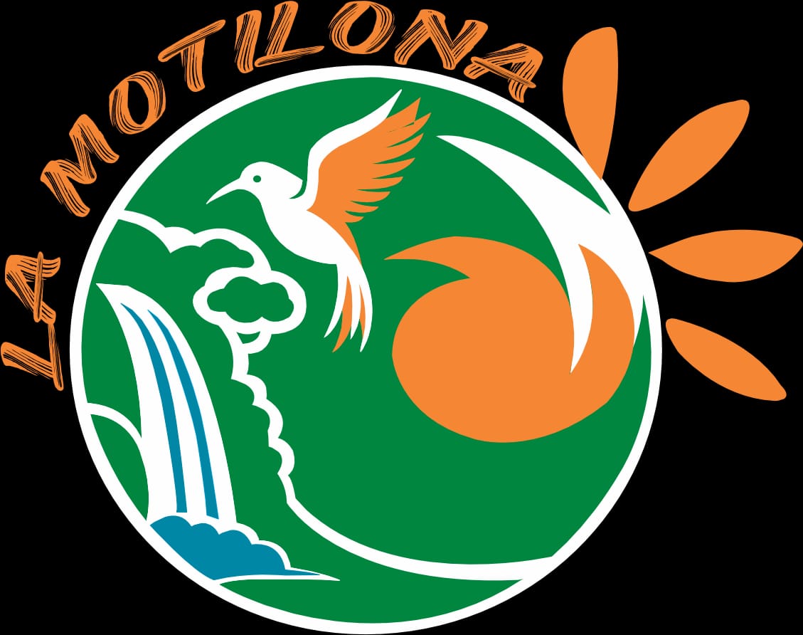 Logo institucional