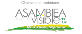 logo-observatorio-concejo-y-asamblea-visible